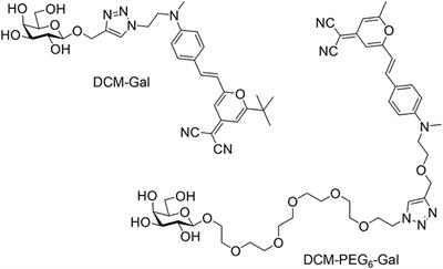 Self-Assembled Thin-Layer Glycomaterials With a Proper Shell Thickness for Targeted and Activatable Cell Imaging